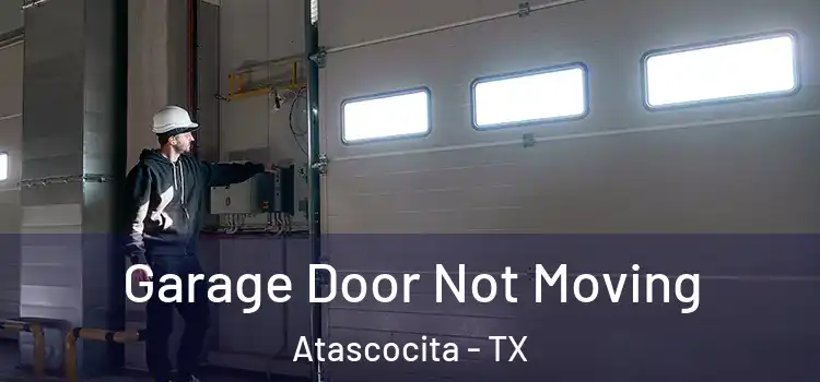  Garage Door Not Moving Atascocita - TX